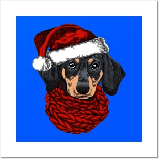 Dachshund dog for a Christmas card. Dachshund with a red knitted warm scarf and a santa hat. Merry Christmas in the year of the dog. New Year's Eve Posters and Art